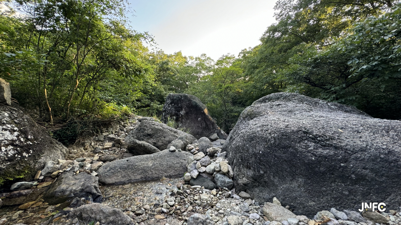 jnfc_5831_135091.jpg