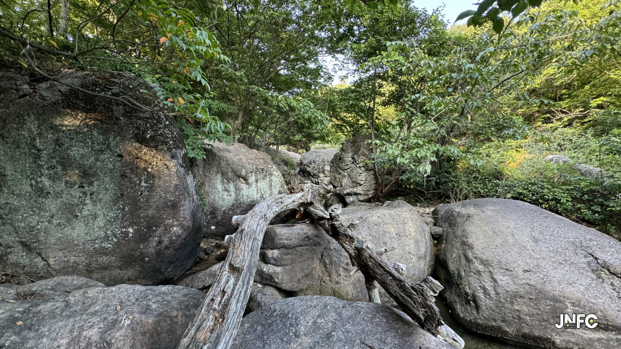 jnfc_5831_135092.jpg