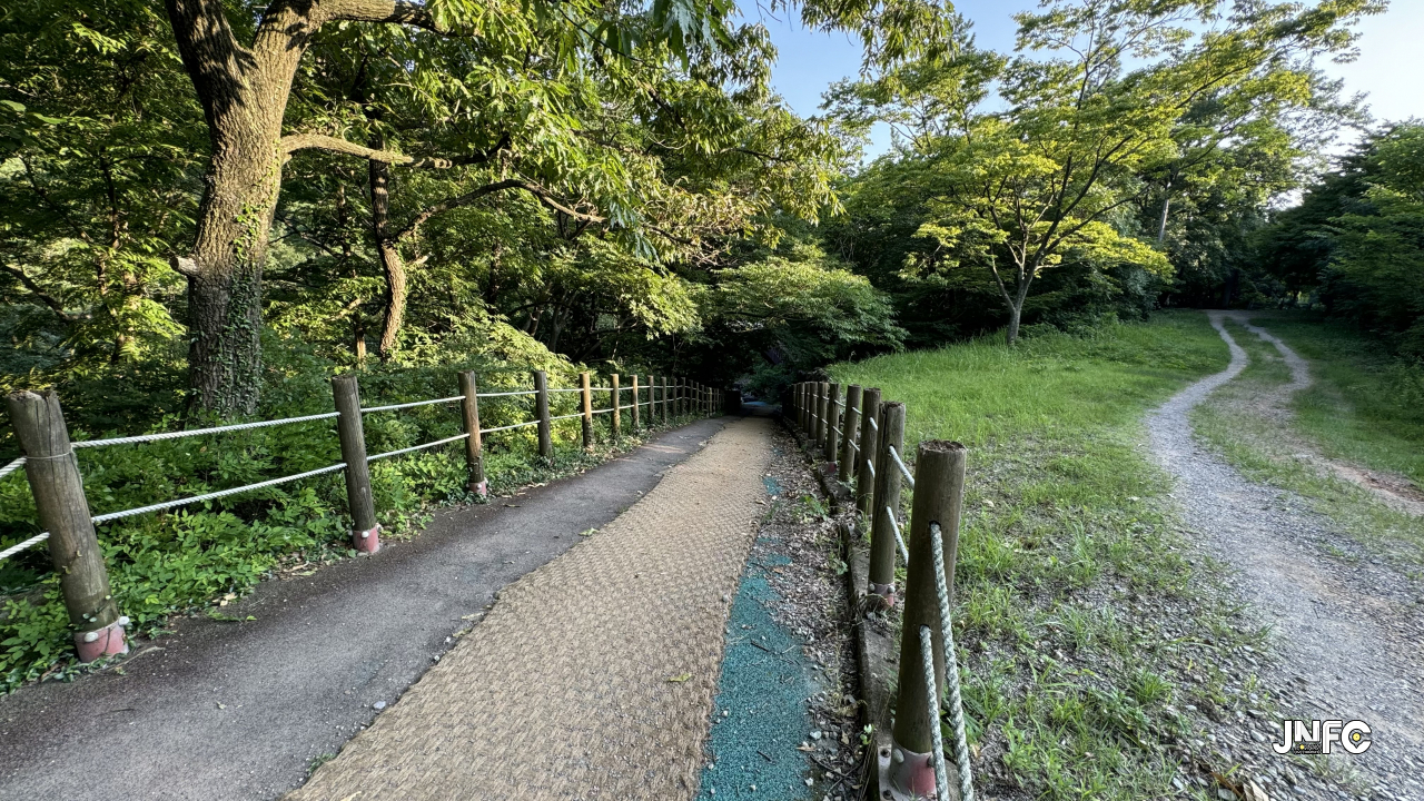 jnfc_5831_135095.jpg