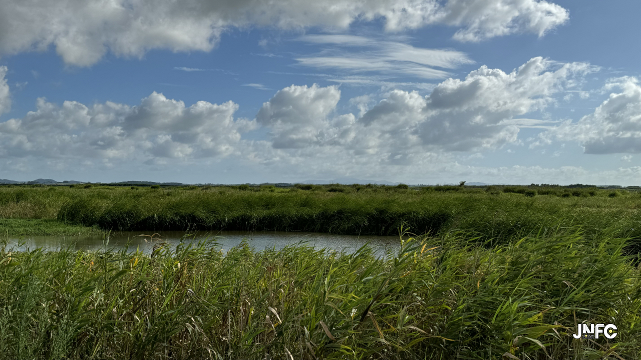jnfc_5832_135060.jpg
