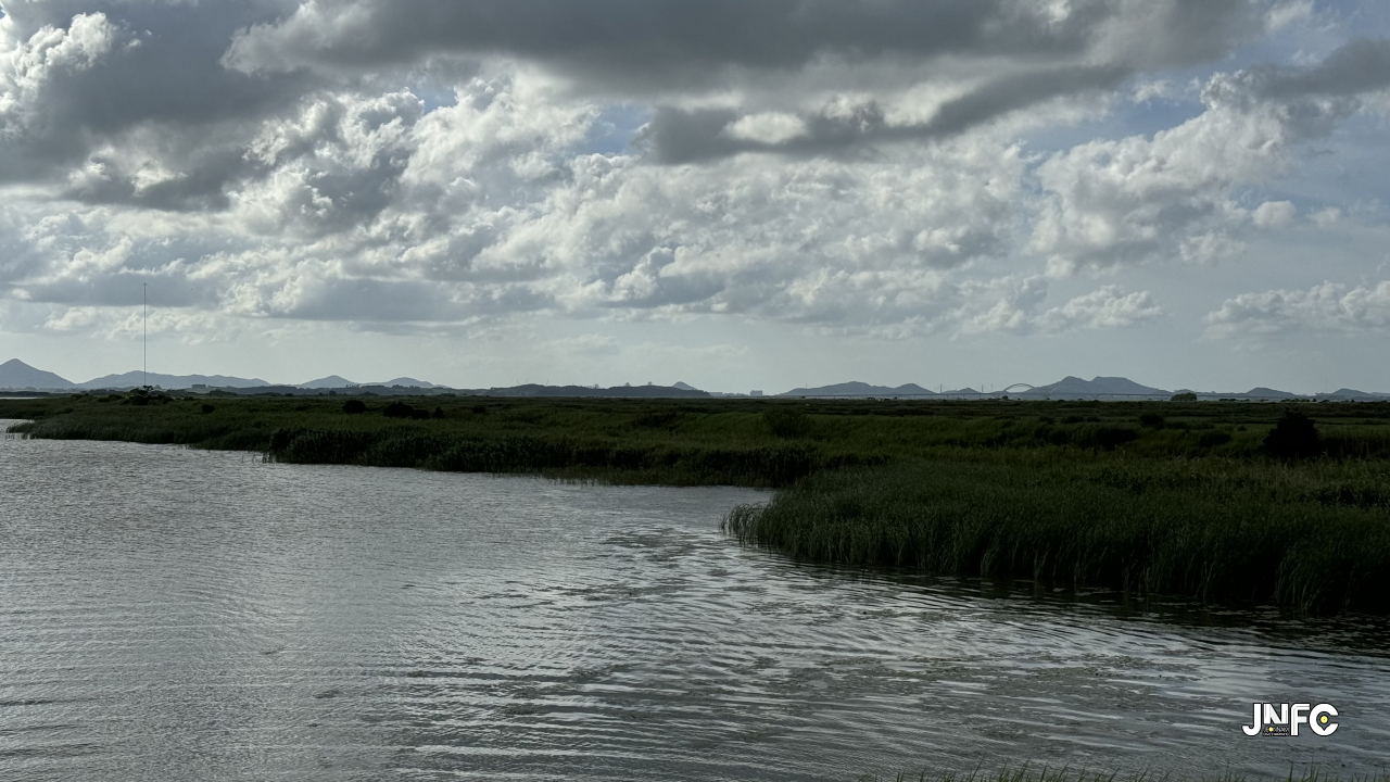 jnfc_5832_135076.jpg