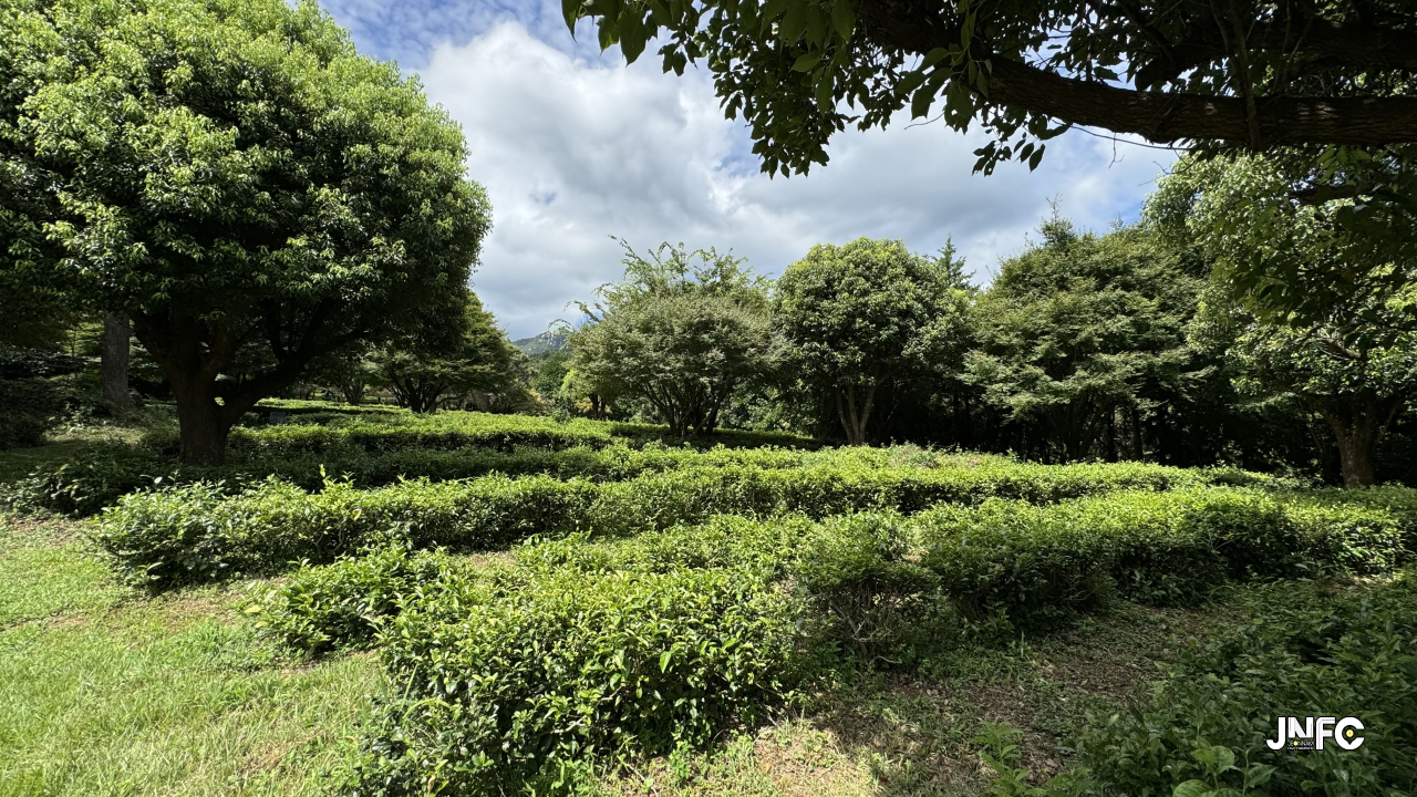 jnfc_5835_135052.jpg