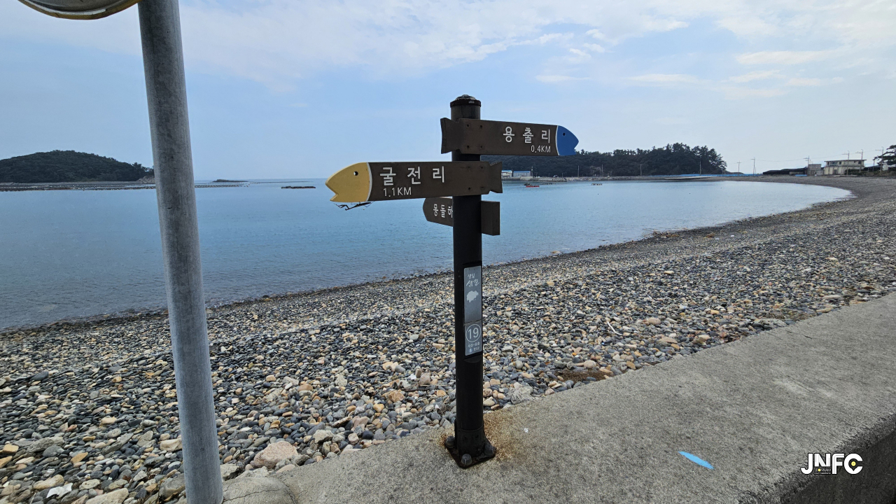 jnfc_5841_131625.jpg