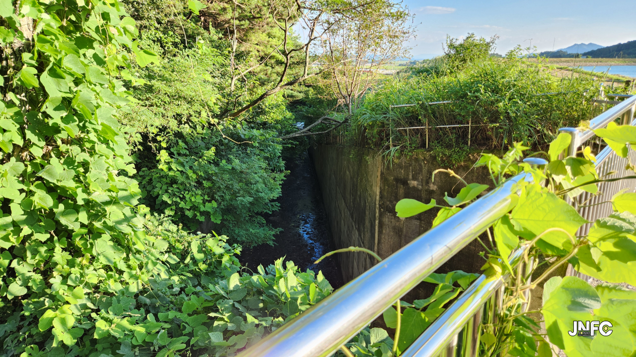 jnfc_5851_131378.jpg