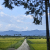 jnfc_5858_115543.jpg