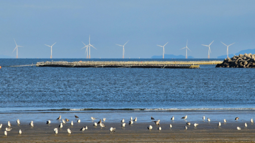 가마미해수욕장