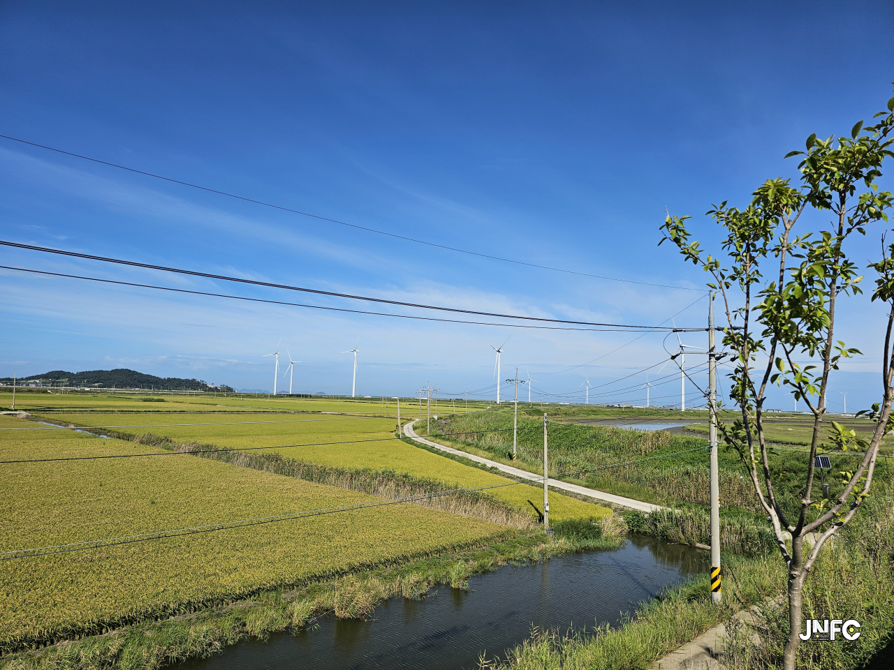 jnfc_5874_115811.jpg