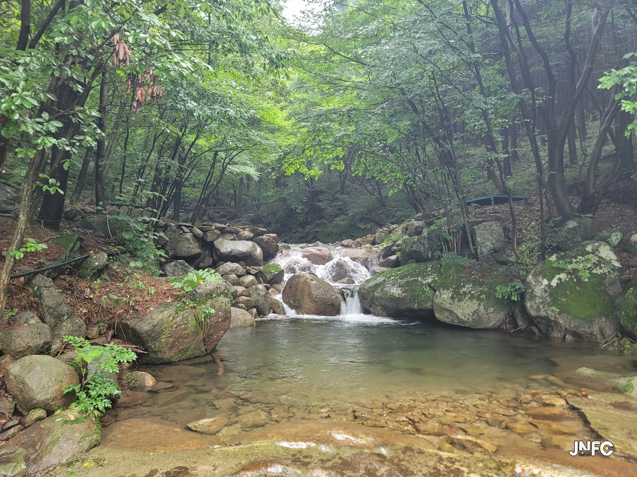 jnfc_5891_130284.jpg