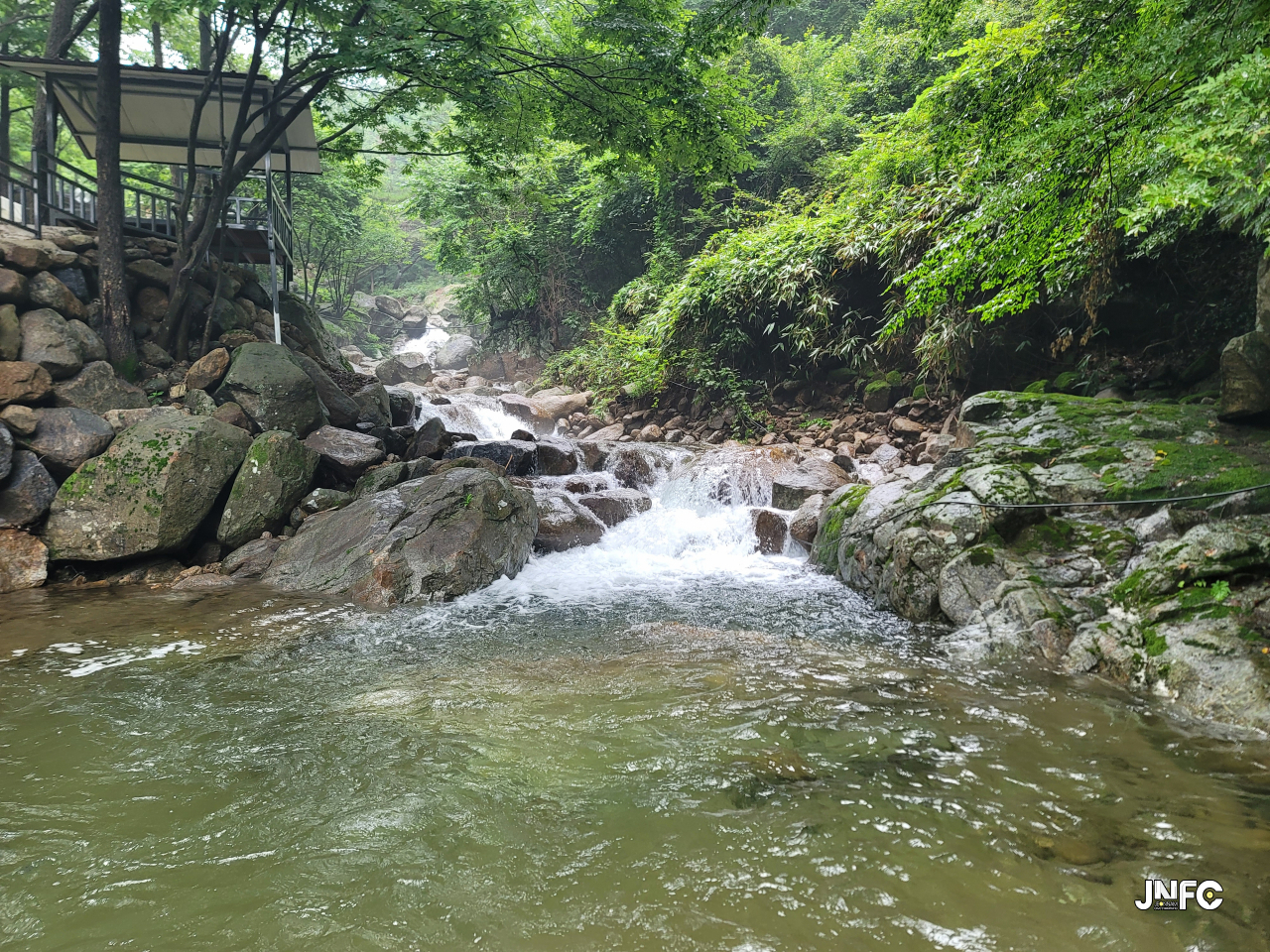 jnfc_5891_130286.jpg