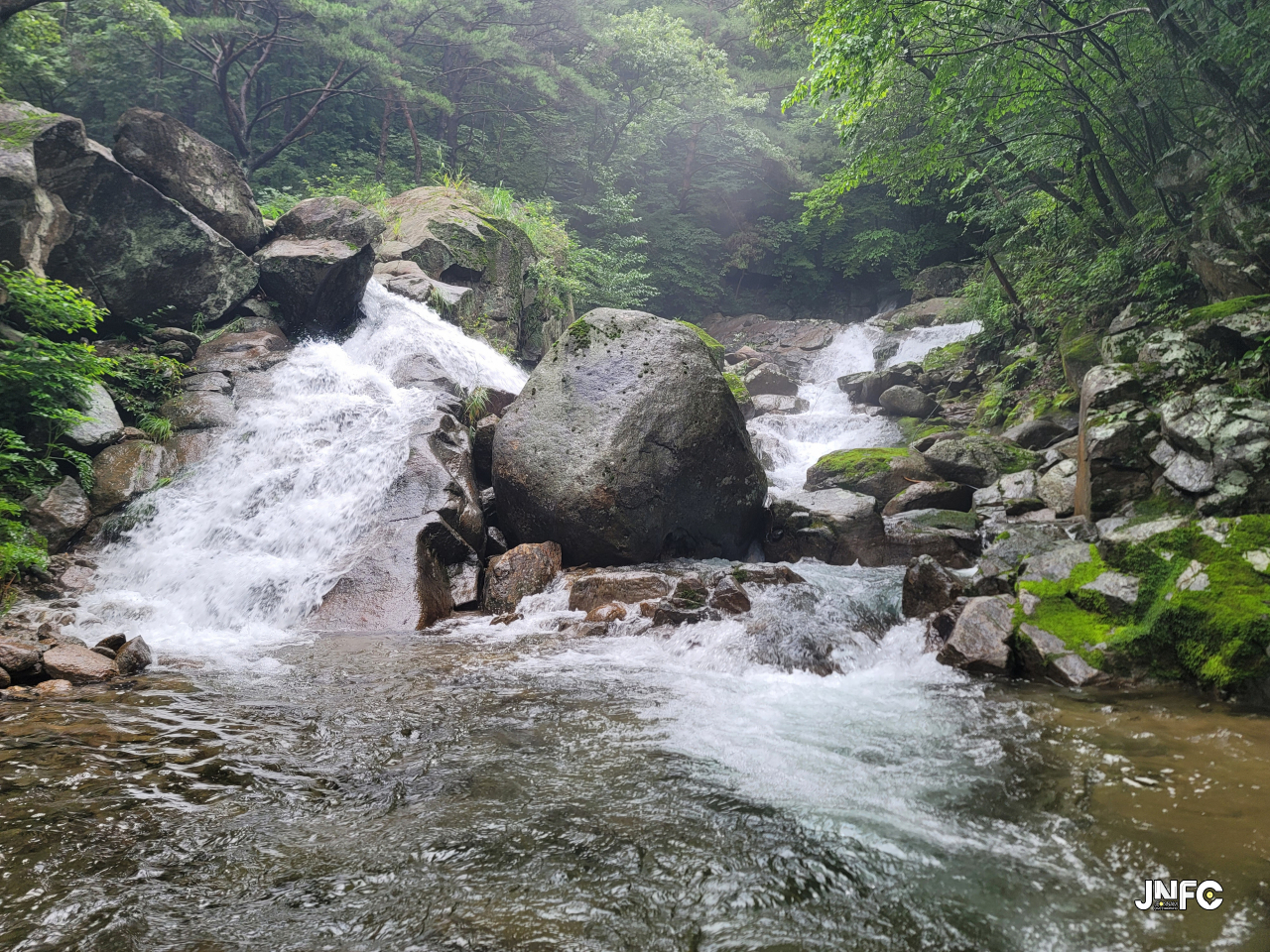 jnfc_5891_130287.jpg