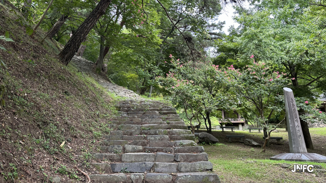 jnfc_5905_131900.jpg