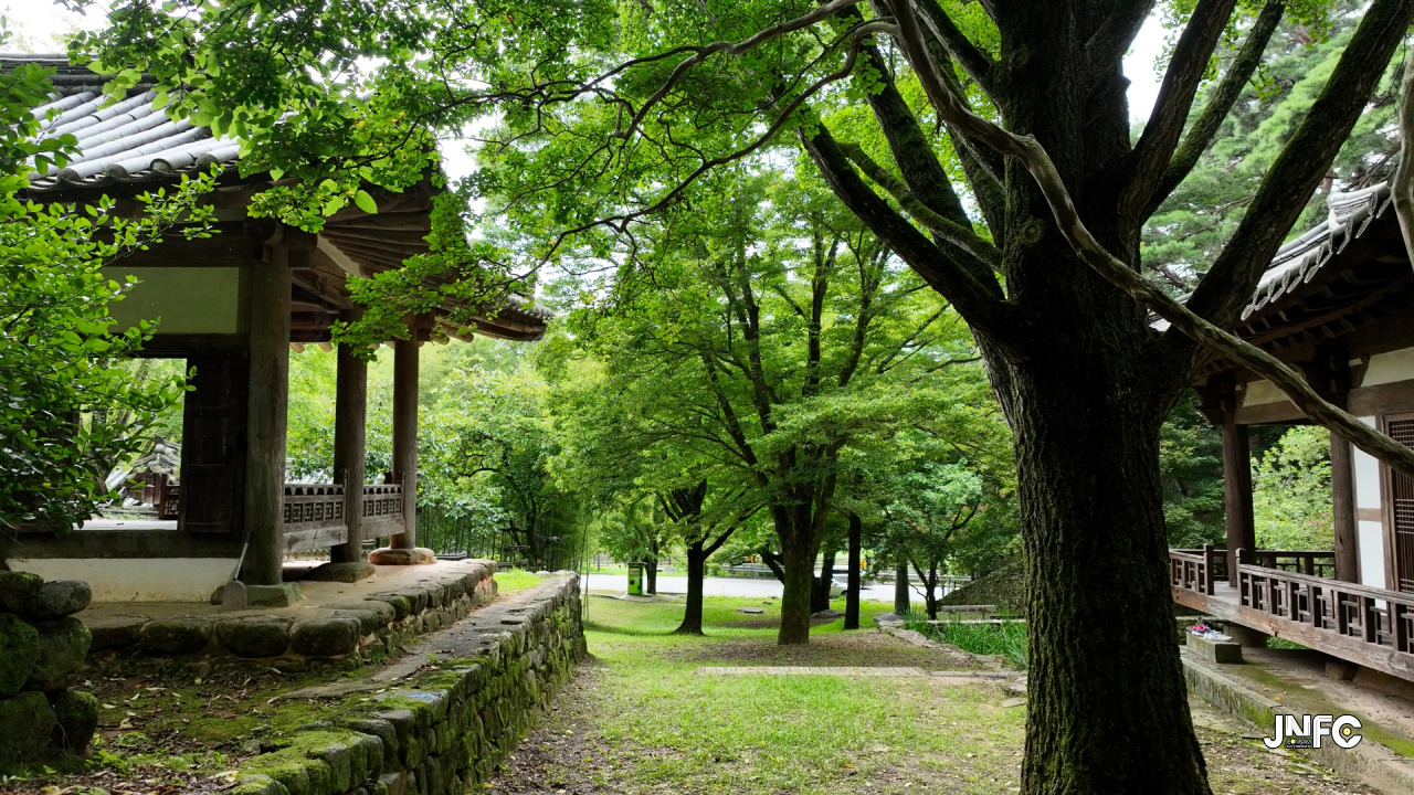 jnfc_5905_131907.jpg