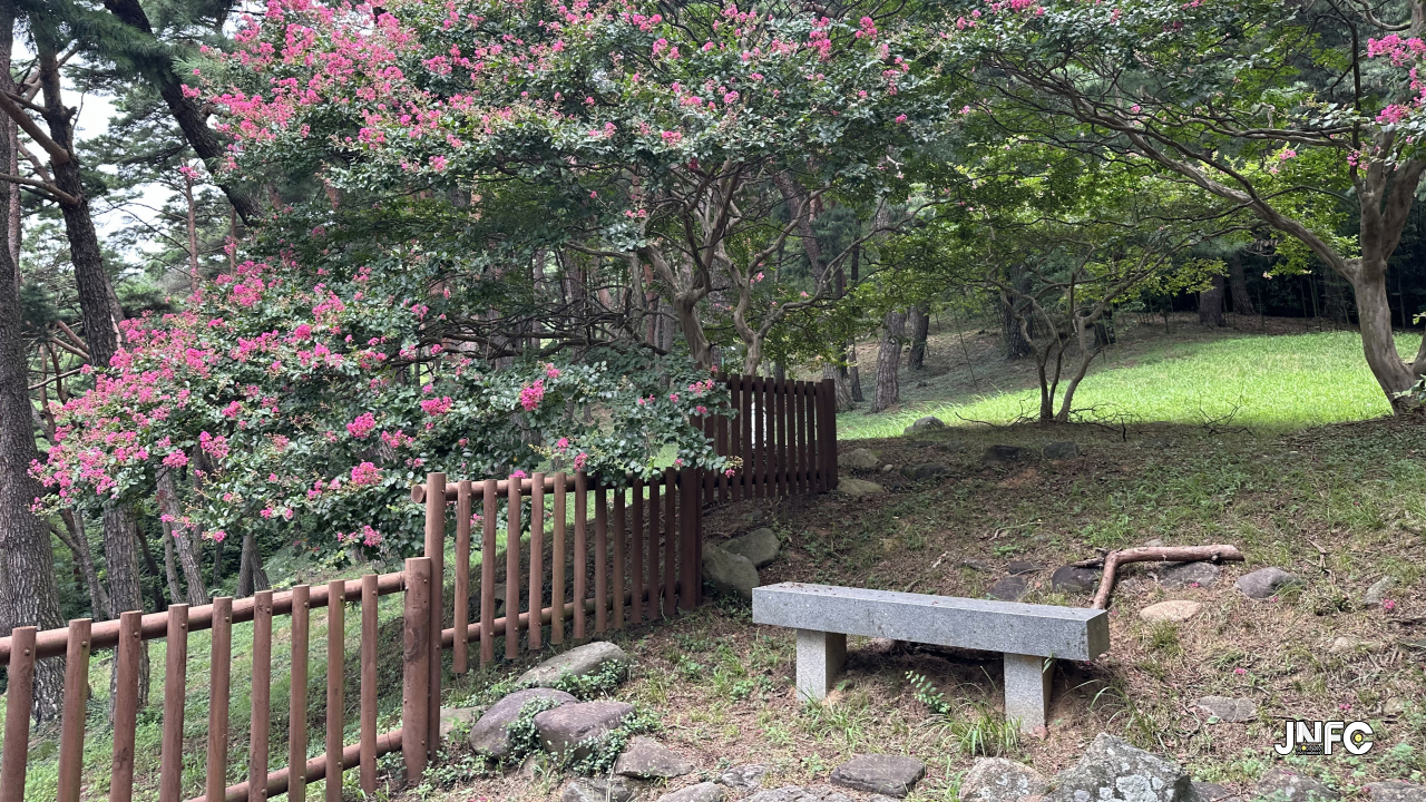 jnfc_5905_131913.jpg
