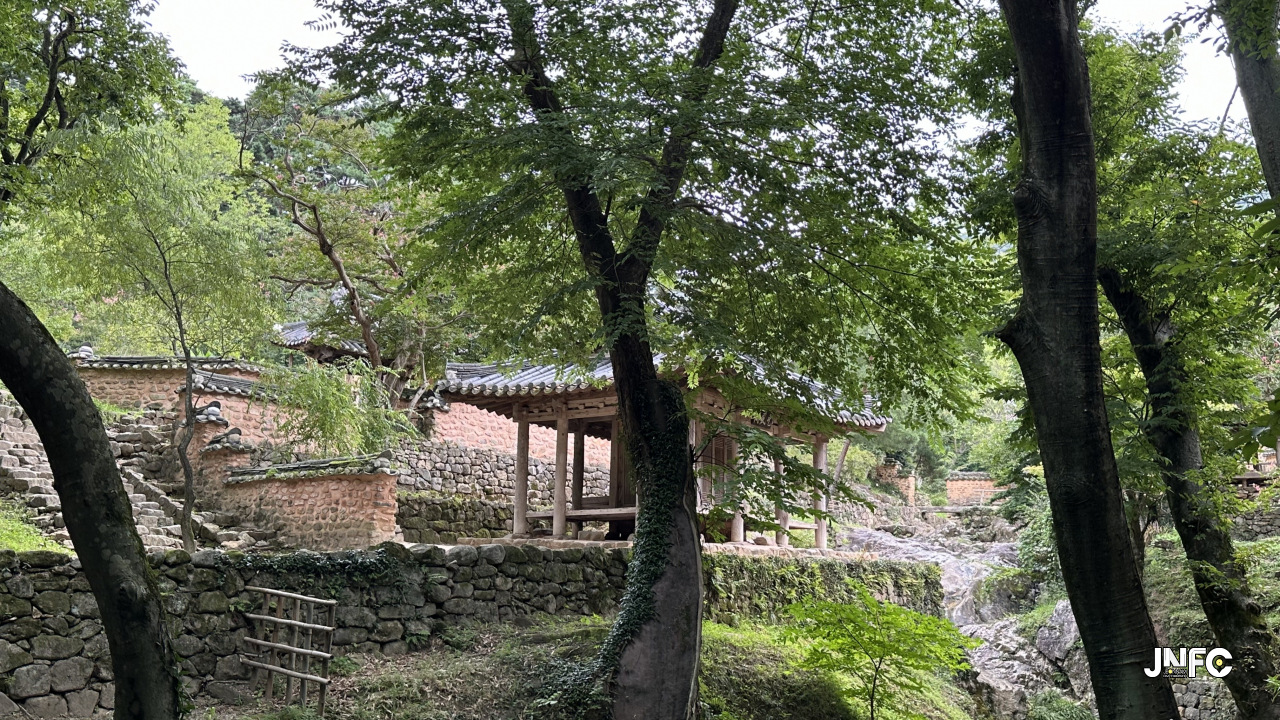jnfc_5907_131876.jpg