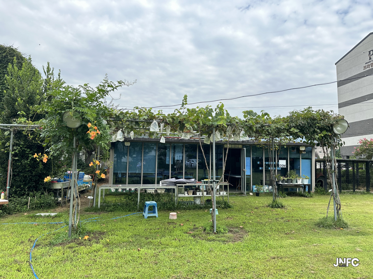 jnfc_5908_131918.jpg