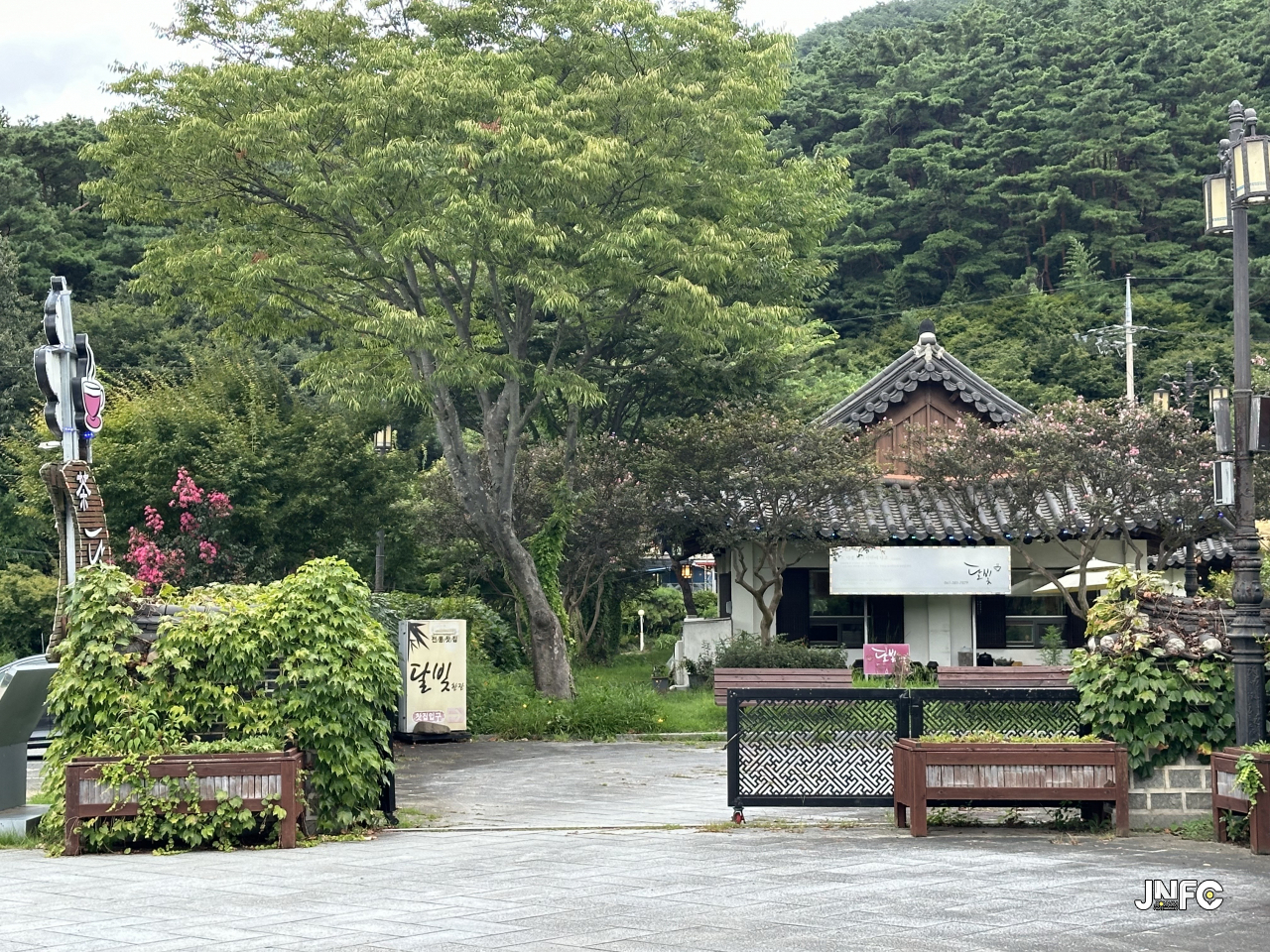 jnfc_5911_131955.jpg