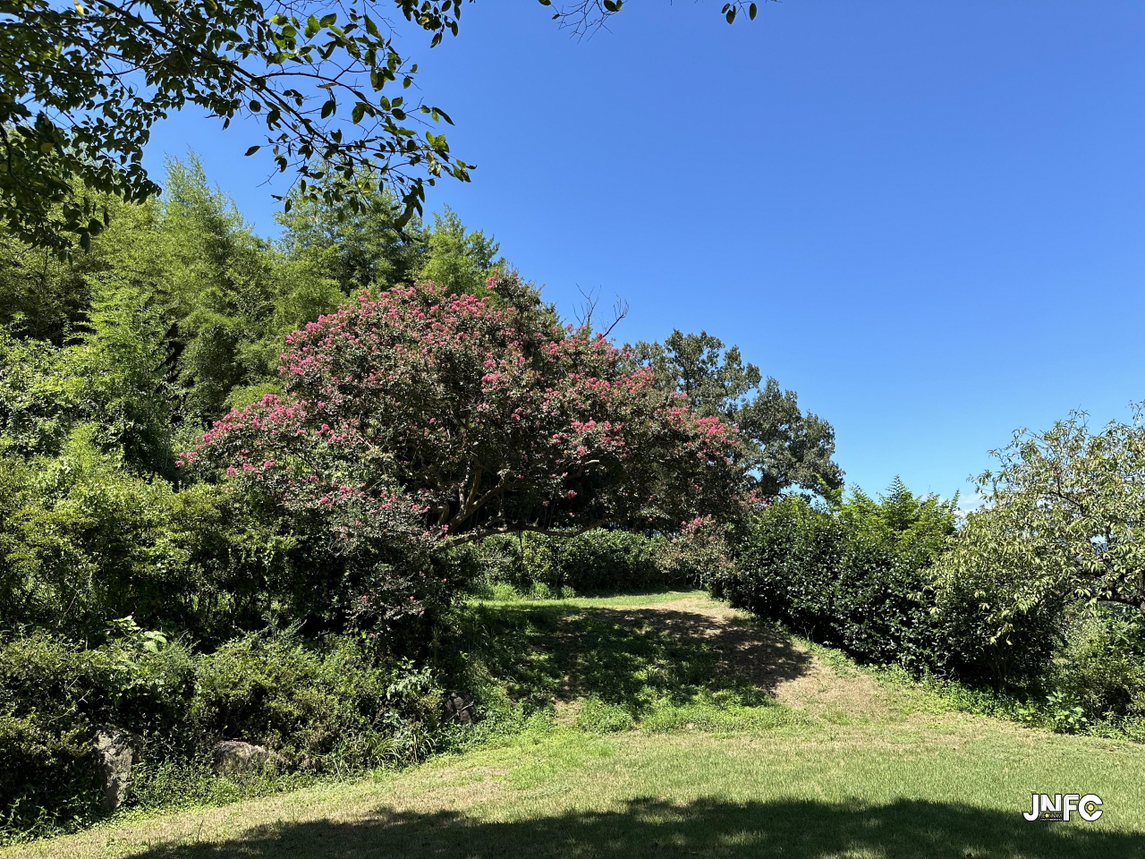 jnfc_5916_131939.jpg