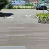 jnfc_5919_129610.jpg