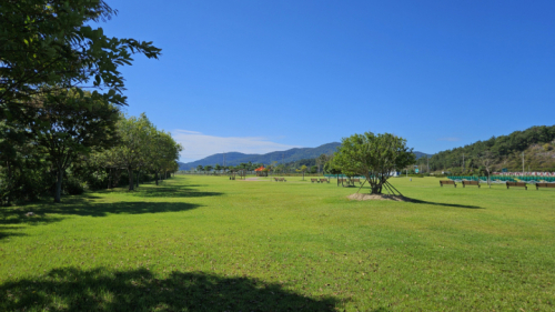 진도백조호수공원