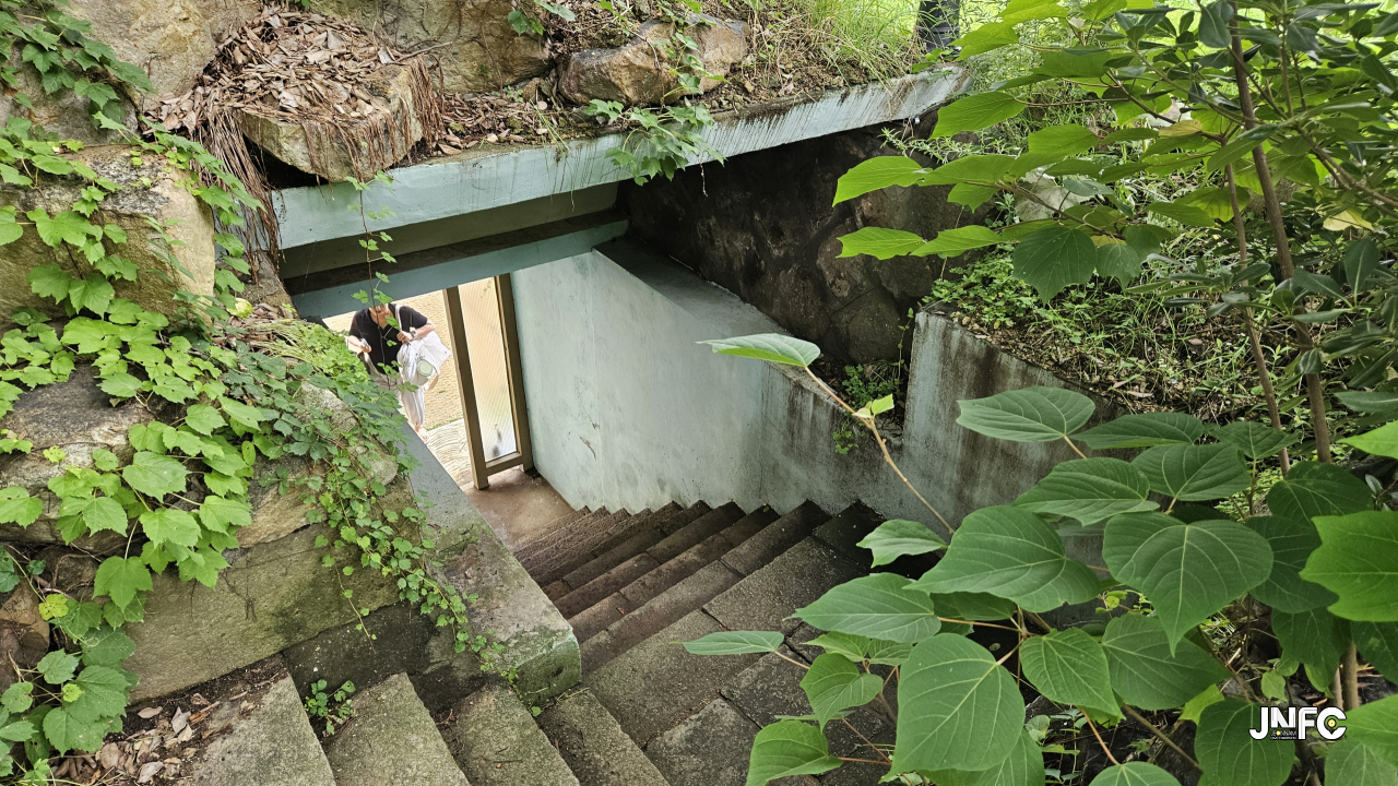 jnfc_5937_129139.jpg