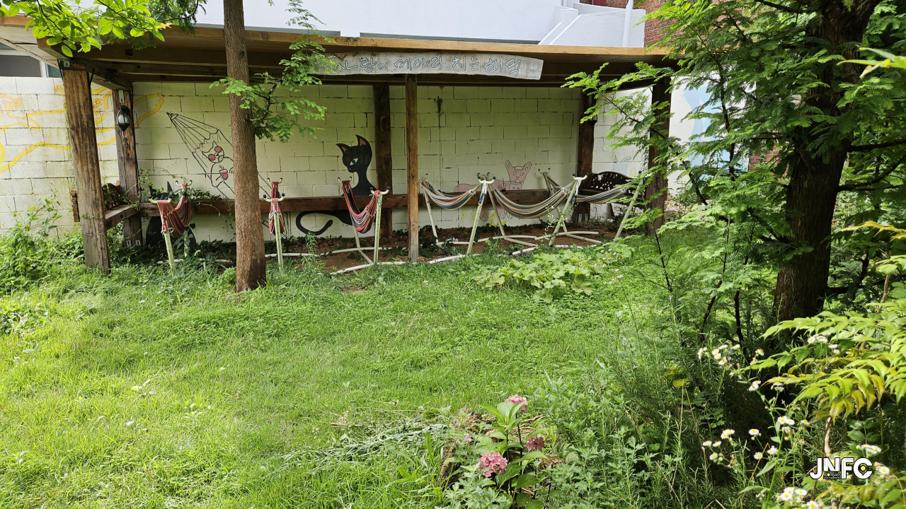 jnfc_5937_129152.jpg