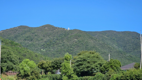 진도 첨찰산 상록수림