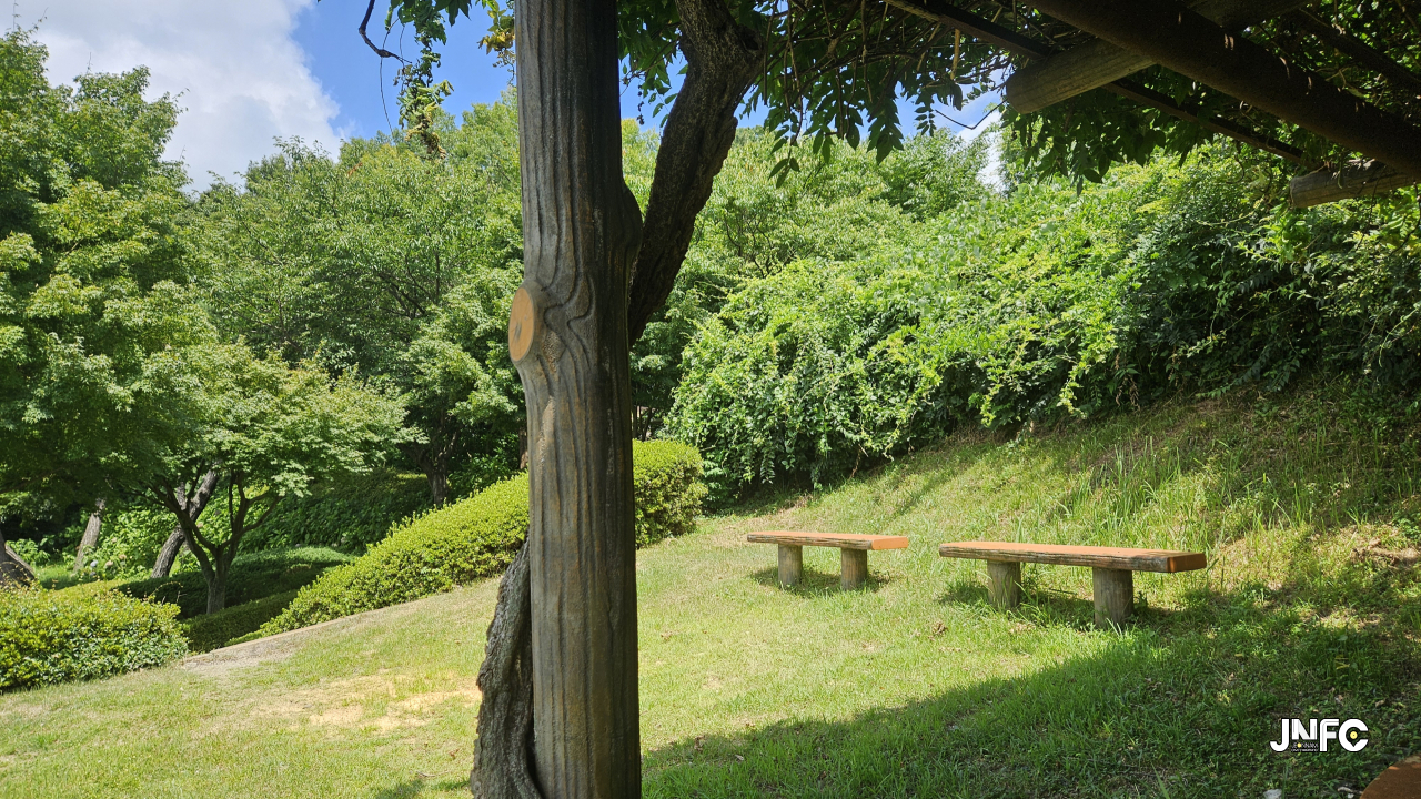 jnfc_5942_129549.jpg
