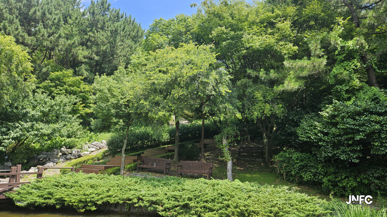 jnfc_5942_129556.jpg