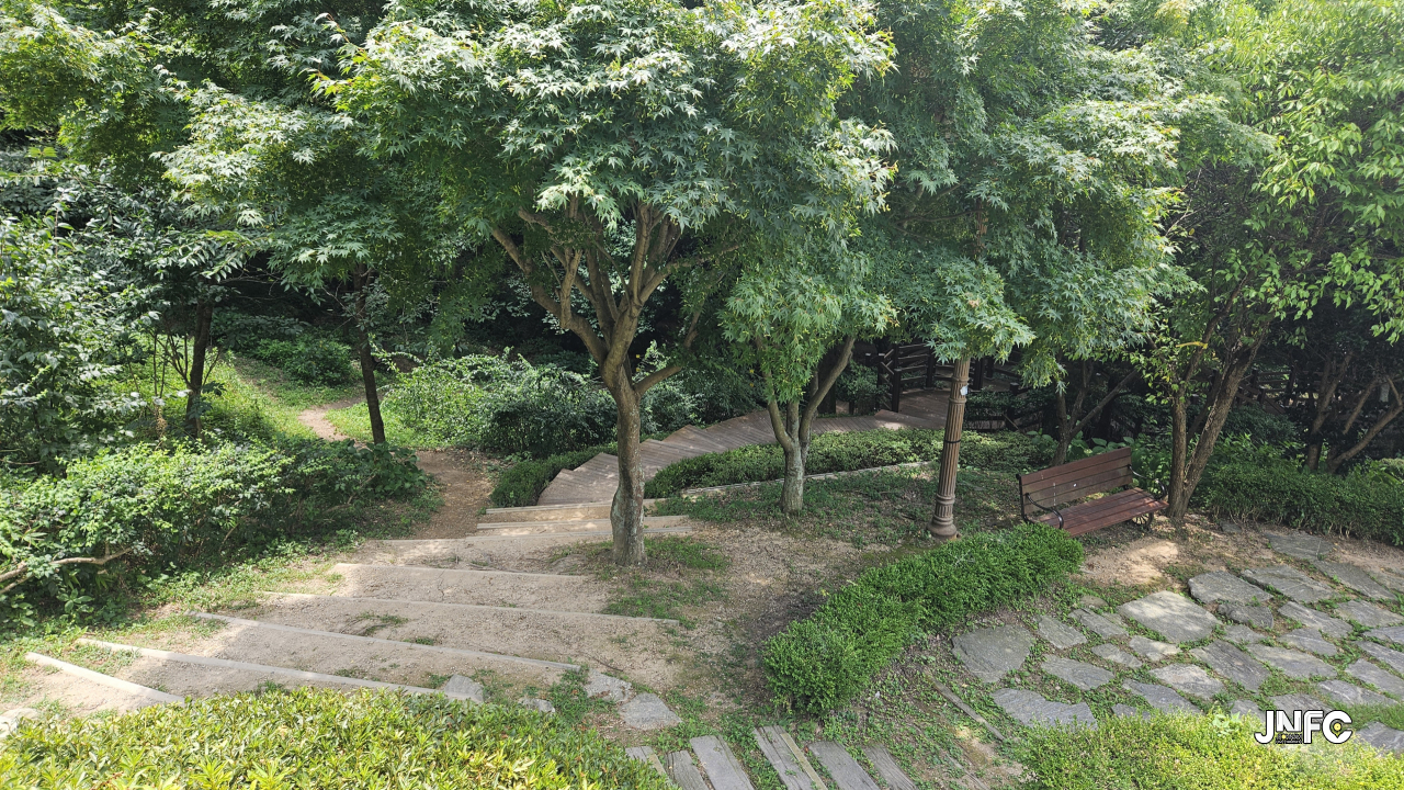 jnfc_5942_129559.jpg