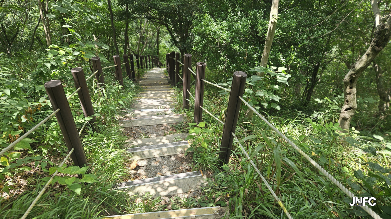 jnfc_5942_129561.jpg