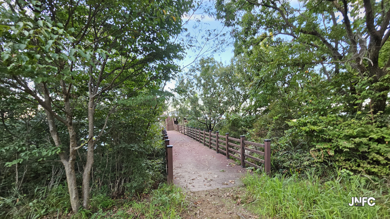 jnfc_5952_131753.jpg