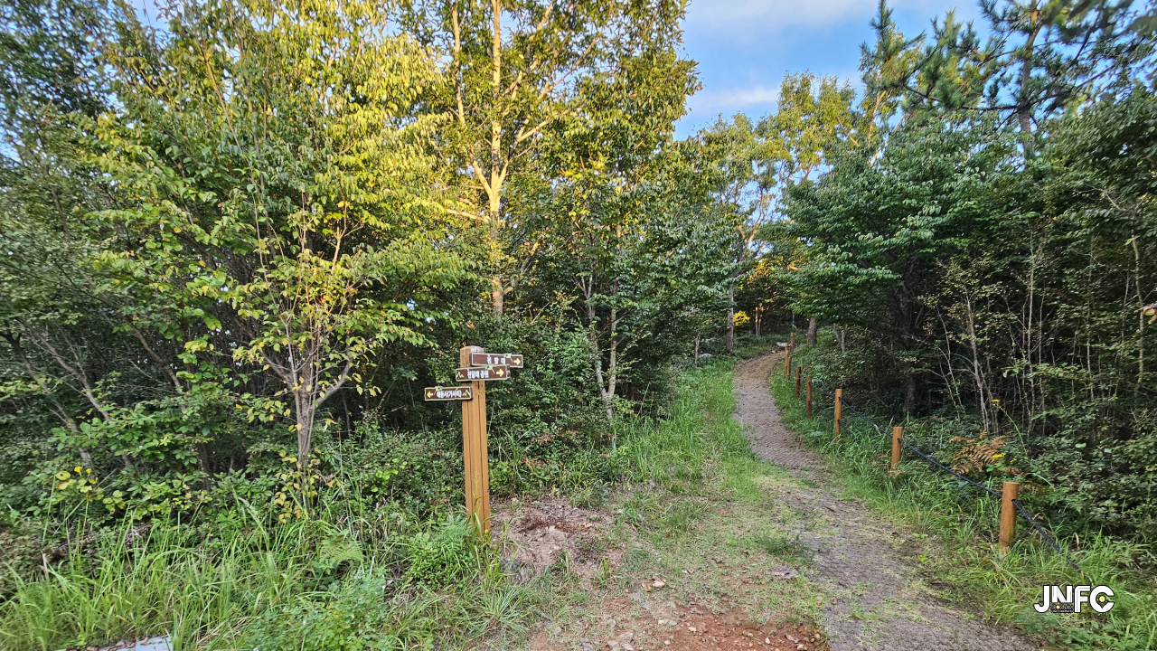 jnfc_5952_131754.jpg
