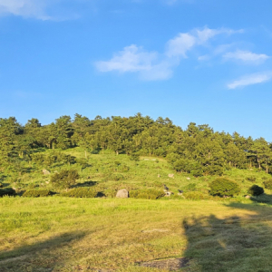 약산도 삼문산진달래공원