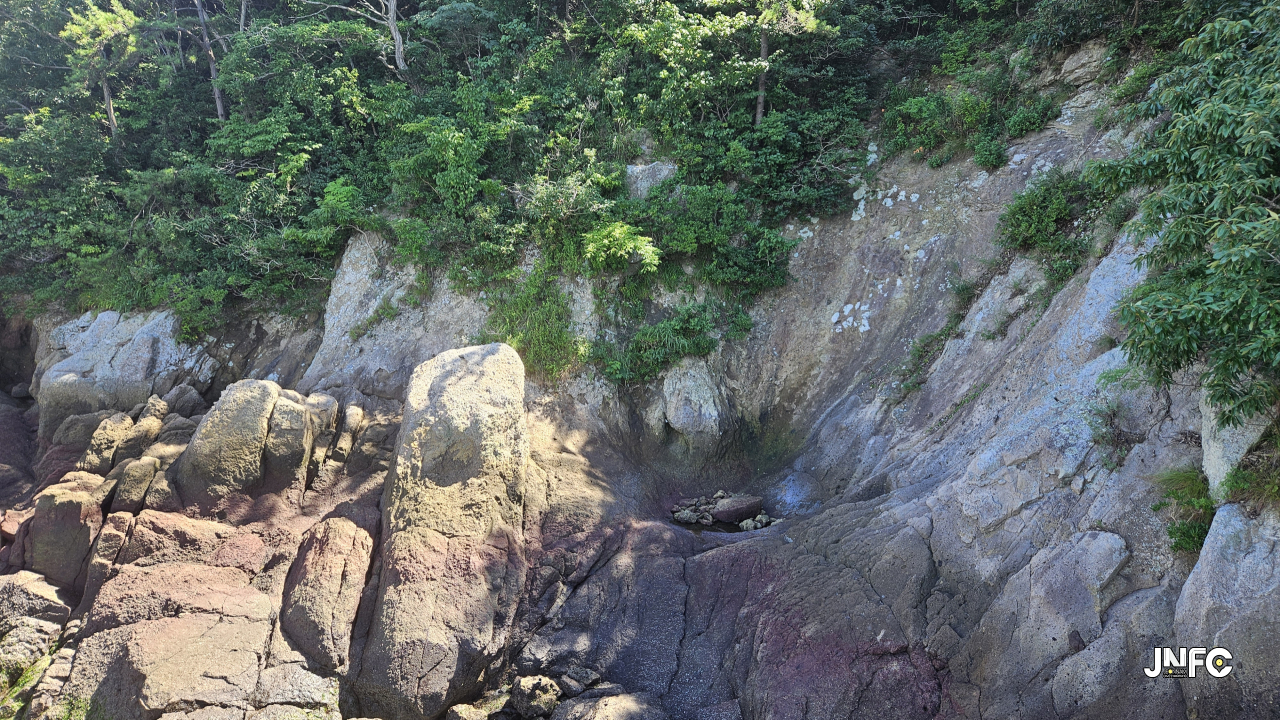 jnfc_5954_129647.jpg