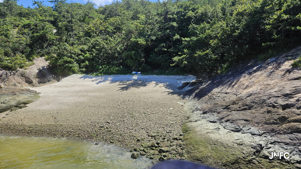 jnfc_5954_129648.jpg