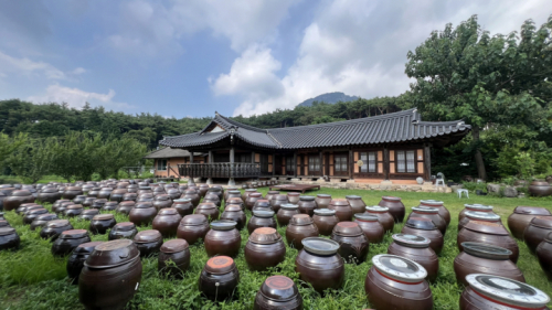 장흥식품 햇콩마루