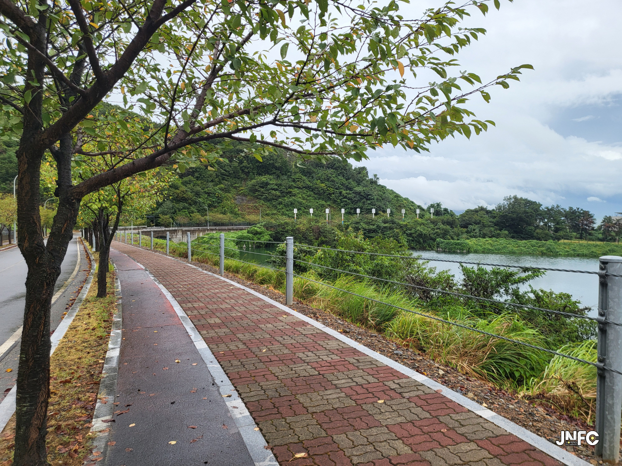 jnfc_5965_127930.jpg
