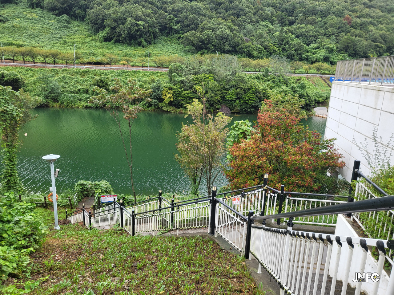 jnfc_5965_127943.jpg
