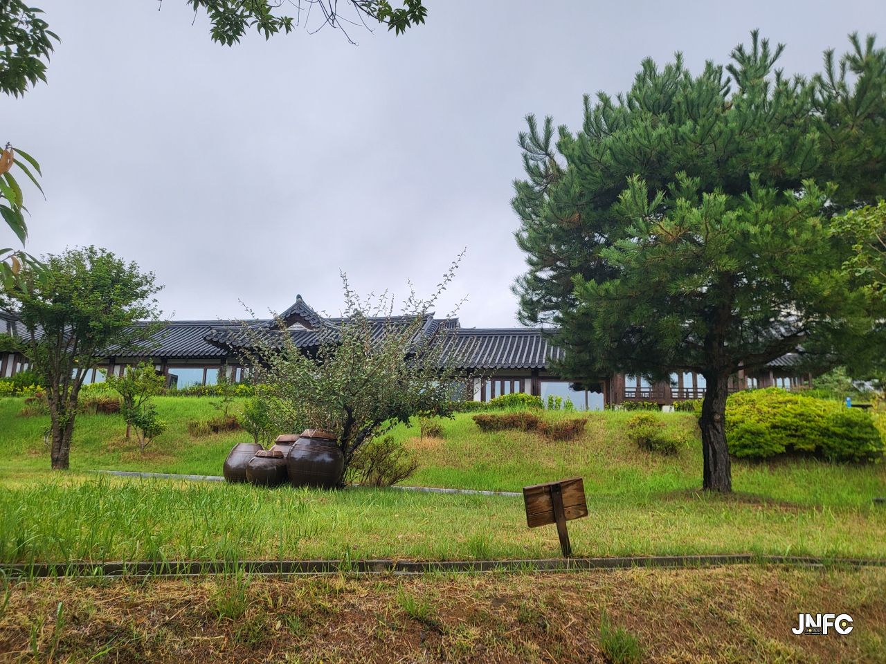 jnfc_5966_127841.jpg