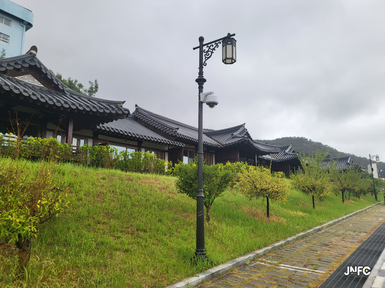 jnfc_5966_127843.jpg