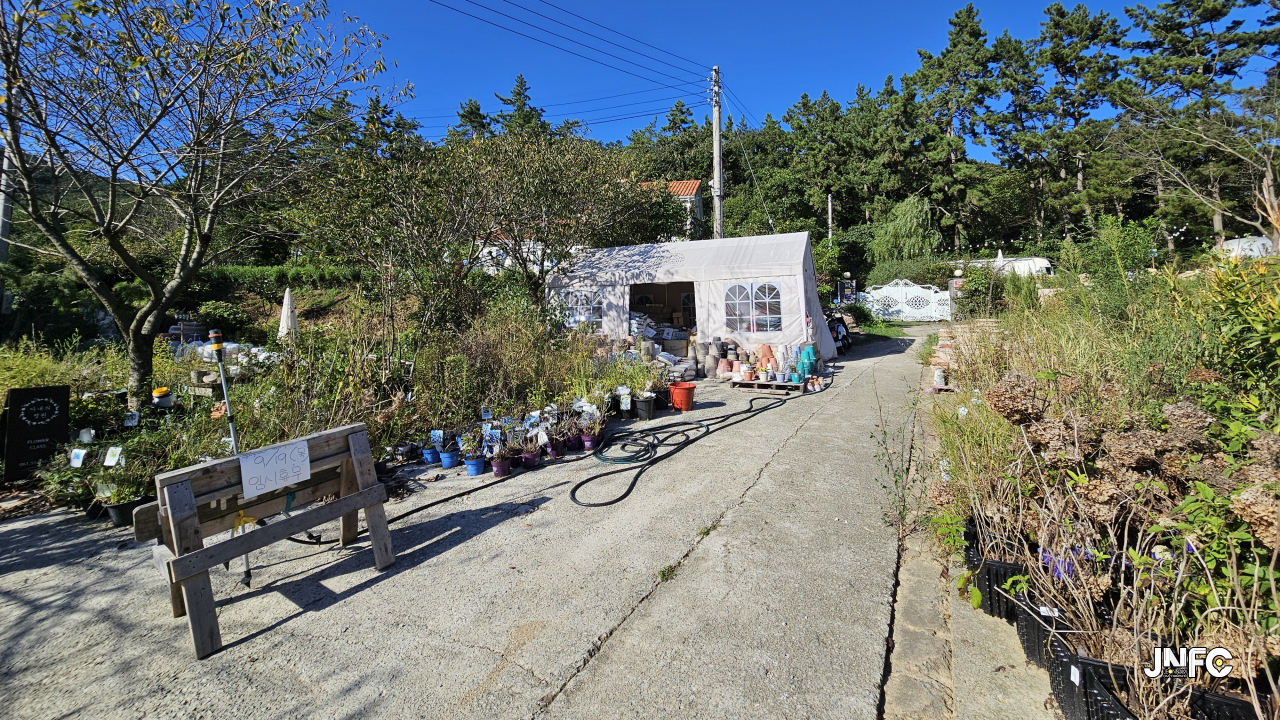jnfc_5988_131707.jpg