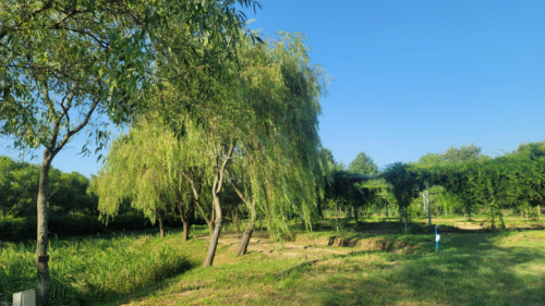 함평자연생태공원