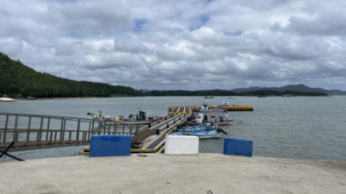 압해도 숭의선착장