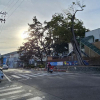jnfc_6072_121997.jpg