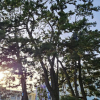 jnfc_6072_122000.jpg