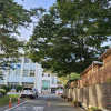 jnfc_6072_122001.jpg
