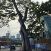 jnfc_6072_122006.jpg