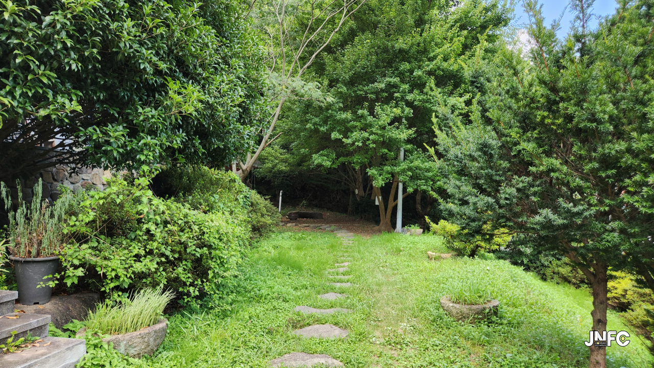 jnfc_6079_131259.jpg