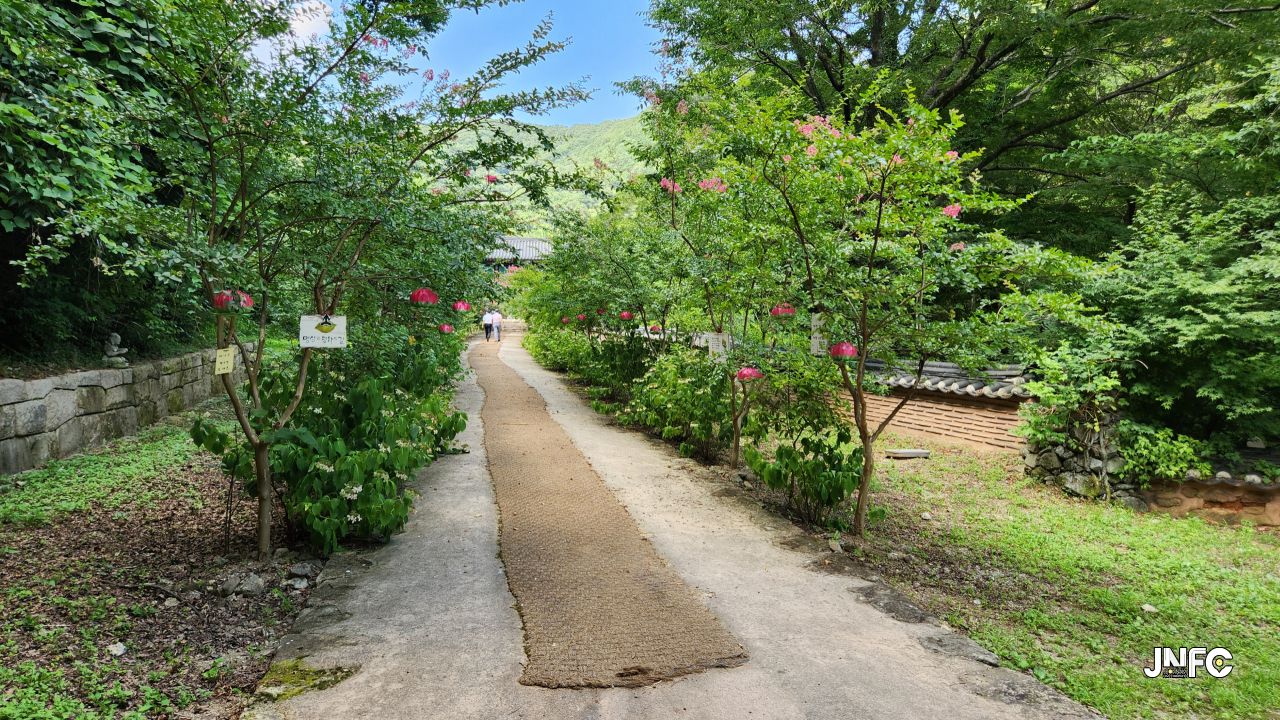 jnfc_6080_131267.jpg