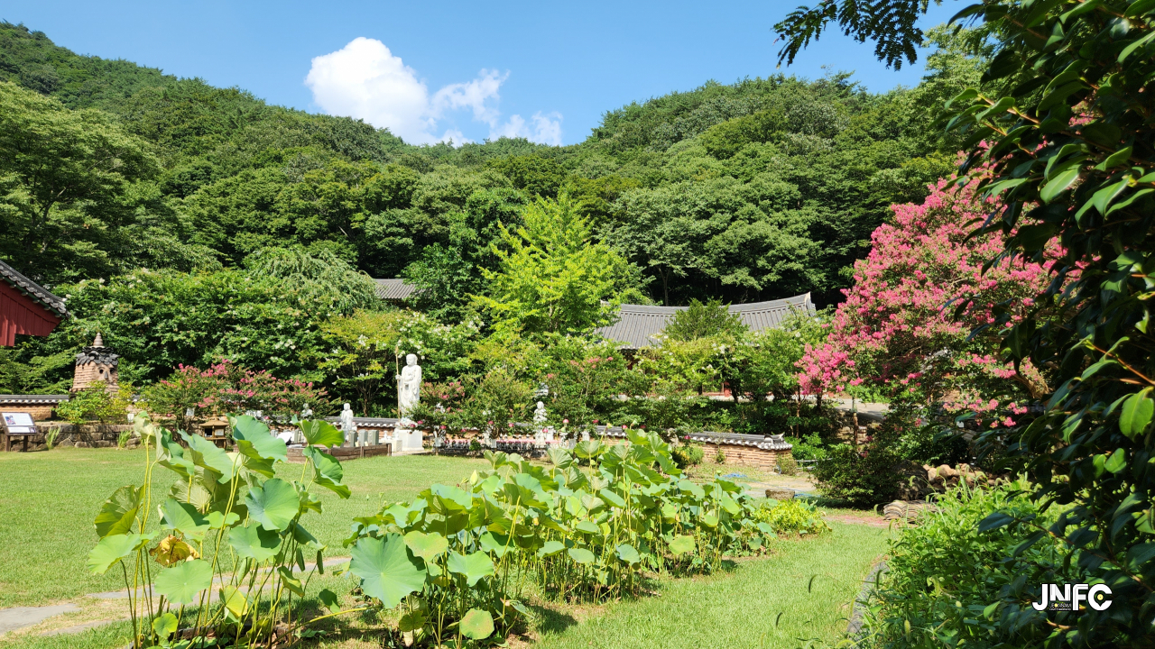 jnfc_6080_131271.jpg